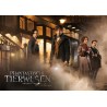 Jigsaw - Puzzle - Language-independent - Fantastic Beasts - 500 pcs