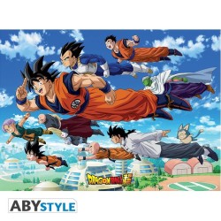 Poster - Roulé et filmé - Dragon Ball - Groupe Goku