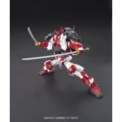 Model - High Grade - Gundam - Astray