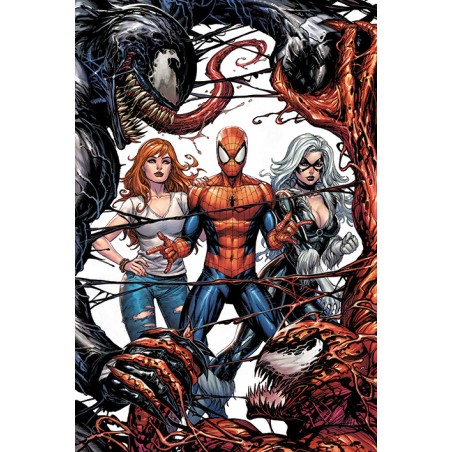 Poster - Spider-Man - Venom vs Carnage