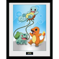 Cadre - Pokemon - Starters Kanto