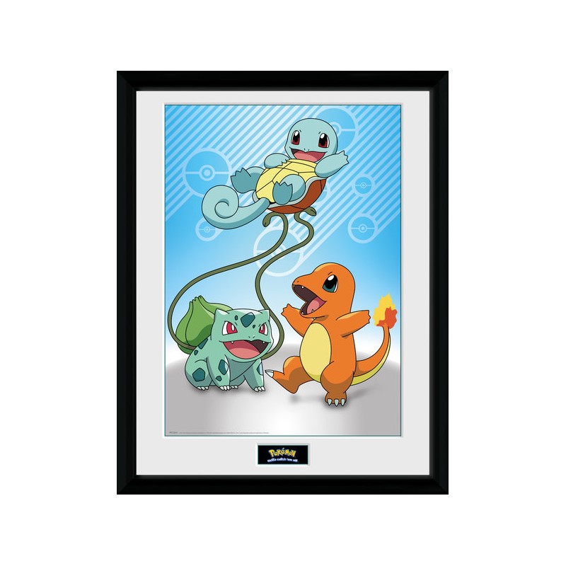 Cadre - Pokemon - Starters Kanto