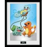 Cadre - Pokemon - Starters Kanto