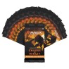 Cartes (JCC) - Booster - Magic The Gathering - Chasse de Minuit - Set Booster Box