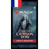 Cartes (JCC) - Pack de 3 Boosters de Draft - Magic The Gathering - Draft Booster 3 pack - Noce Écarlate