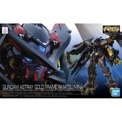 Maquette - Real Grade - Gundam - Astray