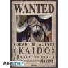 Poster - À plat - One Piece - Wanted - Kaido