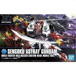 Modello - High Grade - Gundam -  - Astray
