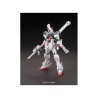 Modello - High Grade - Gundam - Crossbone X1