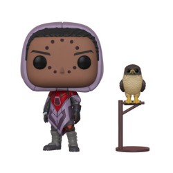 POP - POP Games - Destiny - 337 - Hawthorne with Hawk