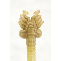 Kitchen accessories - Alien - Facehugger