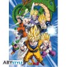 Poster - Confezione da 2 - Dragon Ball - Groups