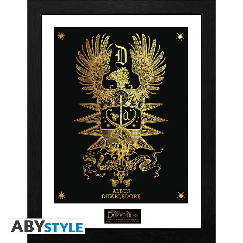 Frame  - Harry Potter - Albus Dumbledore