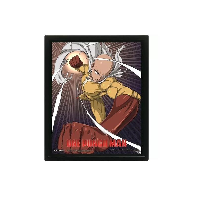 Cadre - 3D - One Punch Man - Saitama and Genos