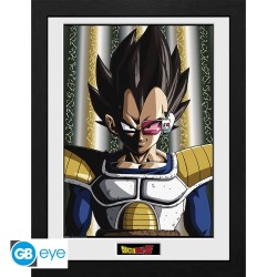 Cadre - Dragon Ball - Vegeta