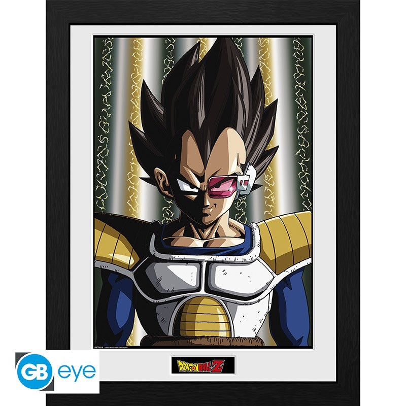 Frame  - Dragon Ball - Vegeta