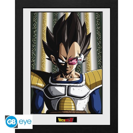 Cadre - Dragon Ball - Vegeta