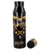 Bottle - Isotherm - Harry Potter - Quidditch
