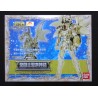 Action Figure - Myth Cloth - Saint Seiya - V4 God Cloth - Dragon Shiryu