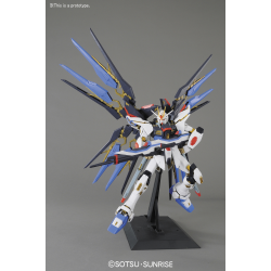 Model - Perfect Grade - Gundam - Strike Freedom Gundam