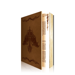 Jeu vidéo - Édition Collector - Castlevania - Le Manuscrit Maudit - Édition Alucard (collector)
