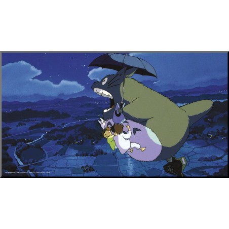 Canvas - My Neighbor Totoro - Grey Totoro