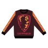 Sweater - Harry Potter - Gryffindor - 3 - 4 years