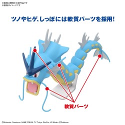 Model - Pokepla - Pokemon - N°50 - Gyarados
