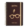 Organisateur - Harry Potter - 2022 / 2023