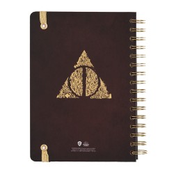 Organisateur - Harry Potter - 2022 / 2023