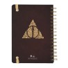 Organizer - Harry Potter - 2022 / 2023