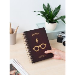 Organisateur - Harry Potter - 2022 / 2023