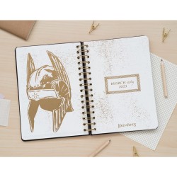 Organisateur - Le Seigneur des Anneaux - 2022 / 2023