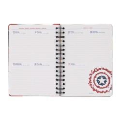 Organisateur - Captain America - 2022 / 2023