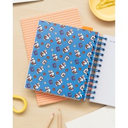 Organizer - BT21 - 2022 / 2023