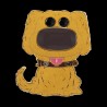 Pin's - Chase - Pin's - Up - Dug Chase