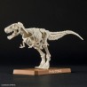 Maquette - Plannosaurus - Préhistoire - Tyrannosaurus
