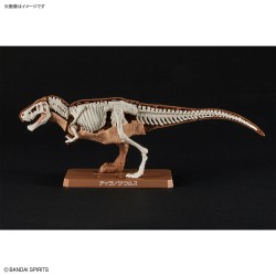 Maquette - Plannosaurus - Préhistoire - Tyrannosaurus