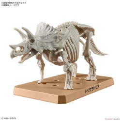 Maquette - Plannosaurus - Préhistoire - Triceratops