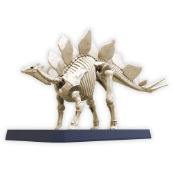 Model - Plannosaurus - Prehistory - Stegosaurus