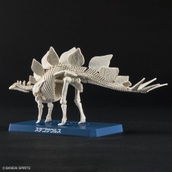 Model - Plannosaurus - Prehistory - Stegosaurus