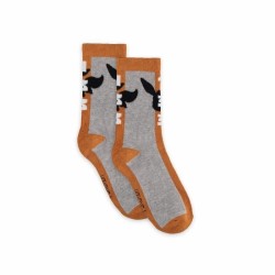 Chaussettes - Pokemon - Évoli