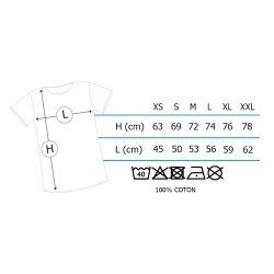 T-shirt - Assassin's Creed - Flag