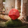 Figurine articulée - Donjons et Dragons - Dragon Rouge