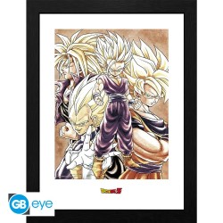 Frame  - Dragon Ball - Super Saiyan