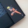 Ranking - Folder - Naruto - Shippuden