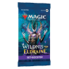 Cartes (JCC) - Booster d'Extension - Magic The Gathering - Les Friches d’Eldraine - Set Booster Box