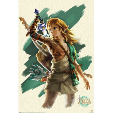 Poster - Zelda - Tears of the Kingdom - Link