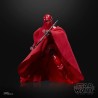 Action Figure - The Vintage Collection - Star Wars - Emperor’s Royal Guard