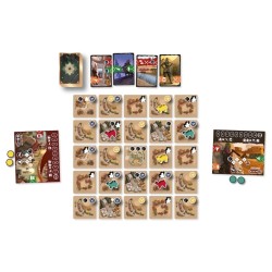 Card game - Sahwari